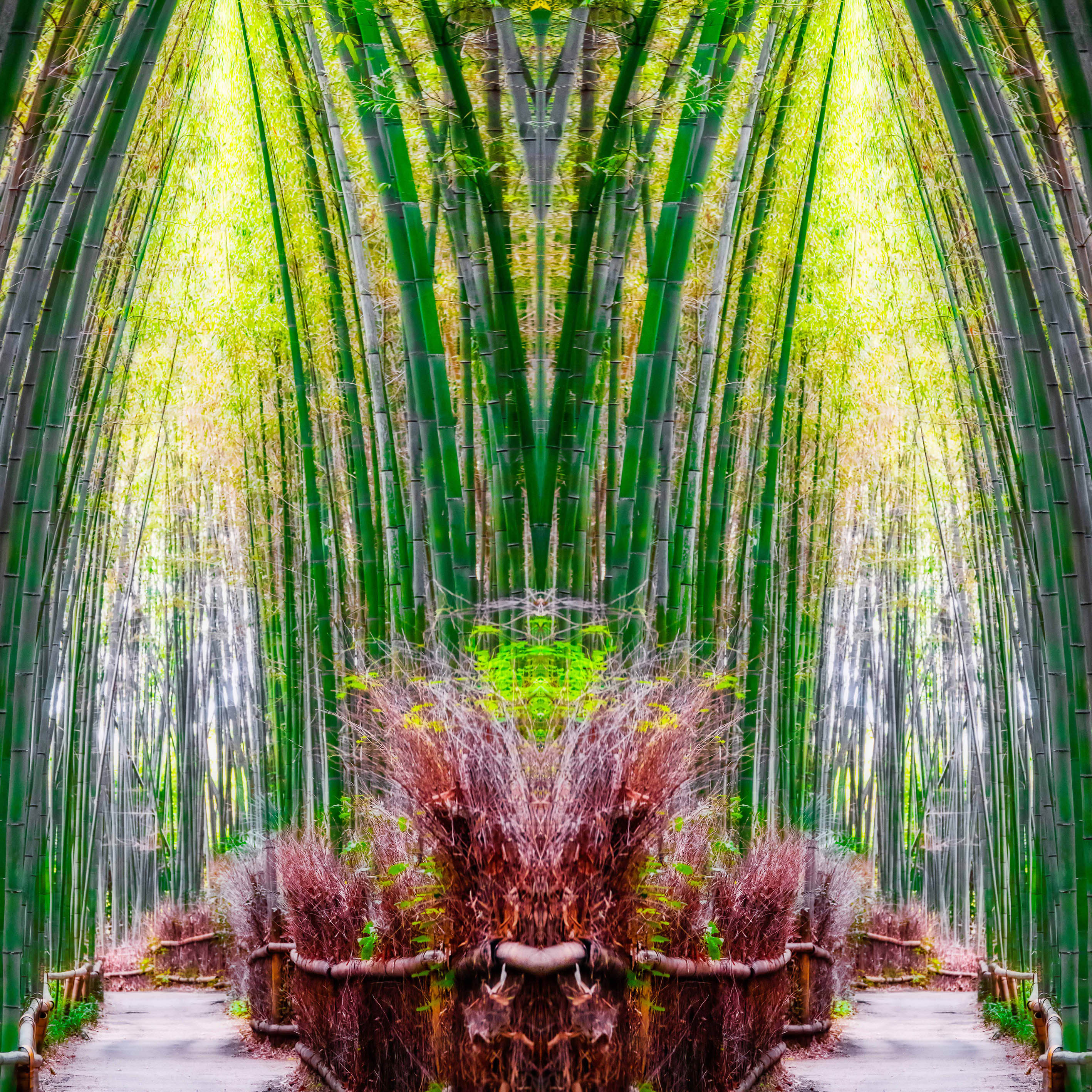 Sagano Bamboo Forest, Kyoto, Japan – Artistic Wall Art