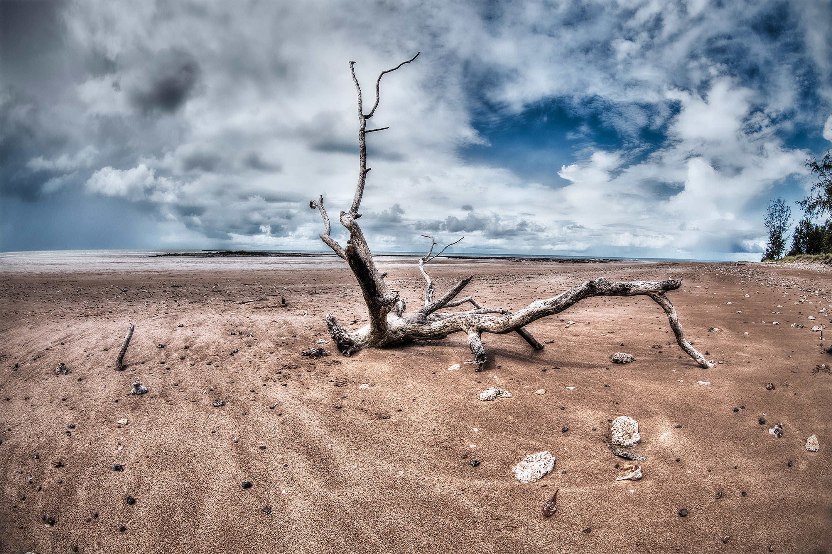 Lee Point, Northern Territory – Coastal Driftwood Wall Art