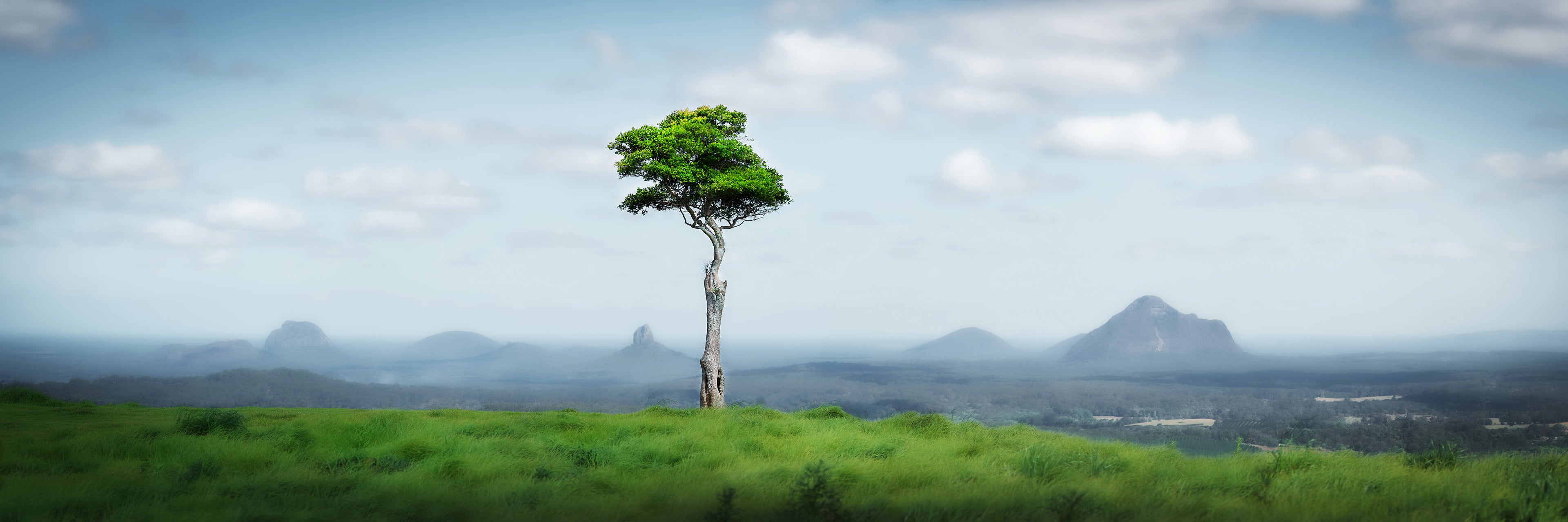 Maleny, Queensland – Mountain Landscape Wall Art