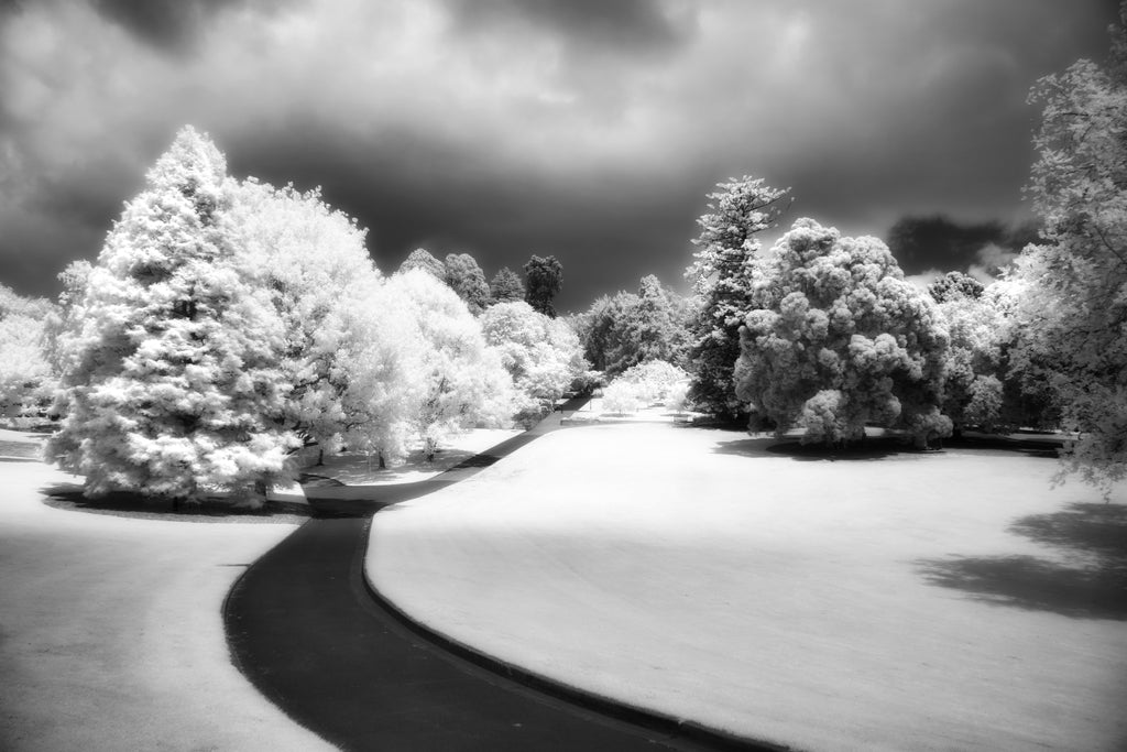 Hobart, Tasmania – Infrared Monochrome Wall Art
