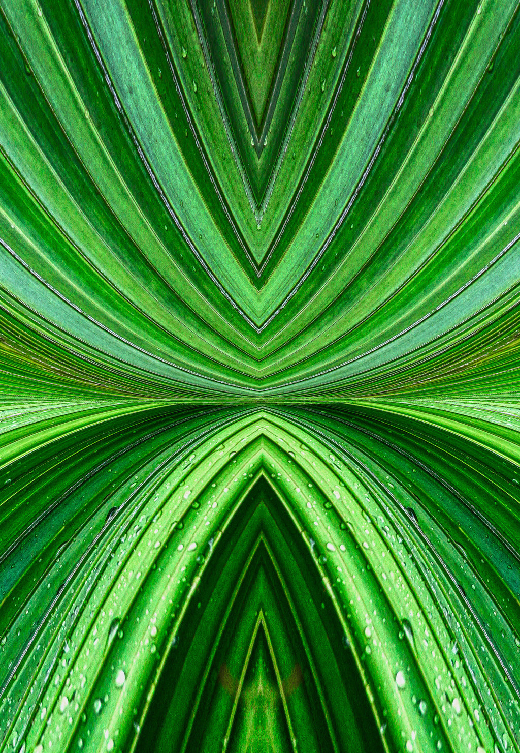 Vanuatu – Radiant Green Palm Abstract Wall Art