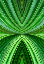 Vanuatu – Radiant Green Palm Abstract Wall Art