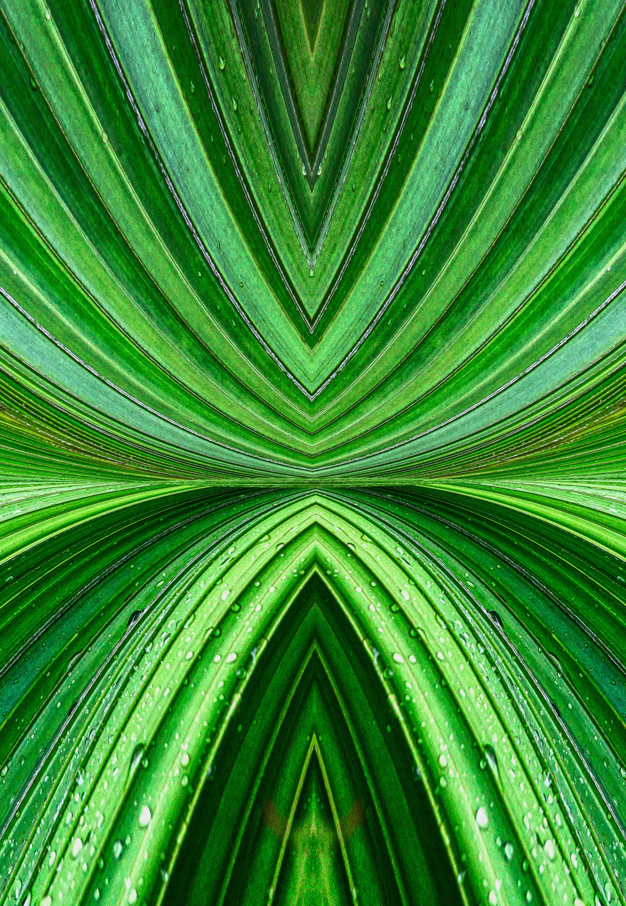 Vanuatu – Radiant Green Palm Abstract Wall Art
