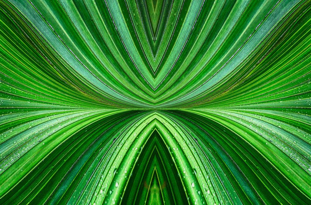 Vanuatu – Radiant Green Palm Abstract Wall Art
