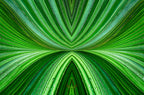 Vanuatu – Radiant Green Palm Abstract Wall Art