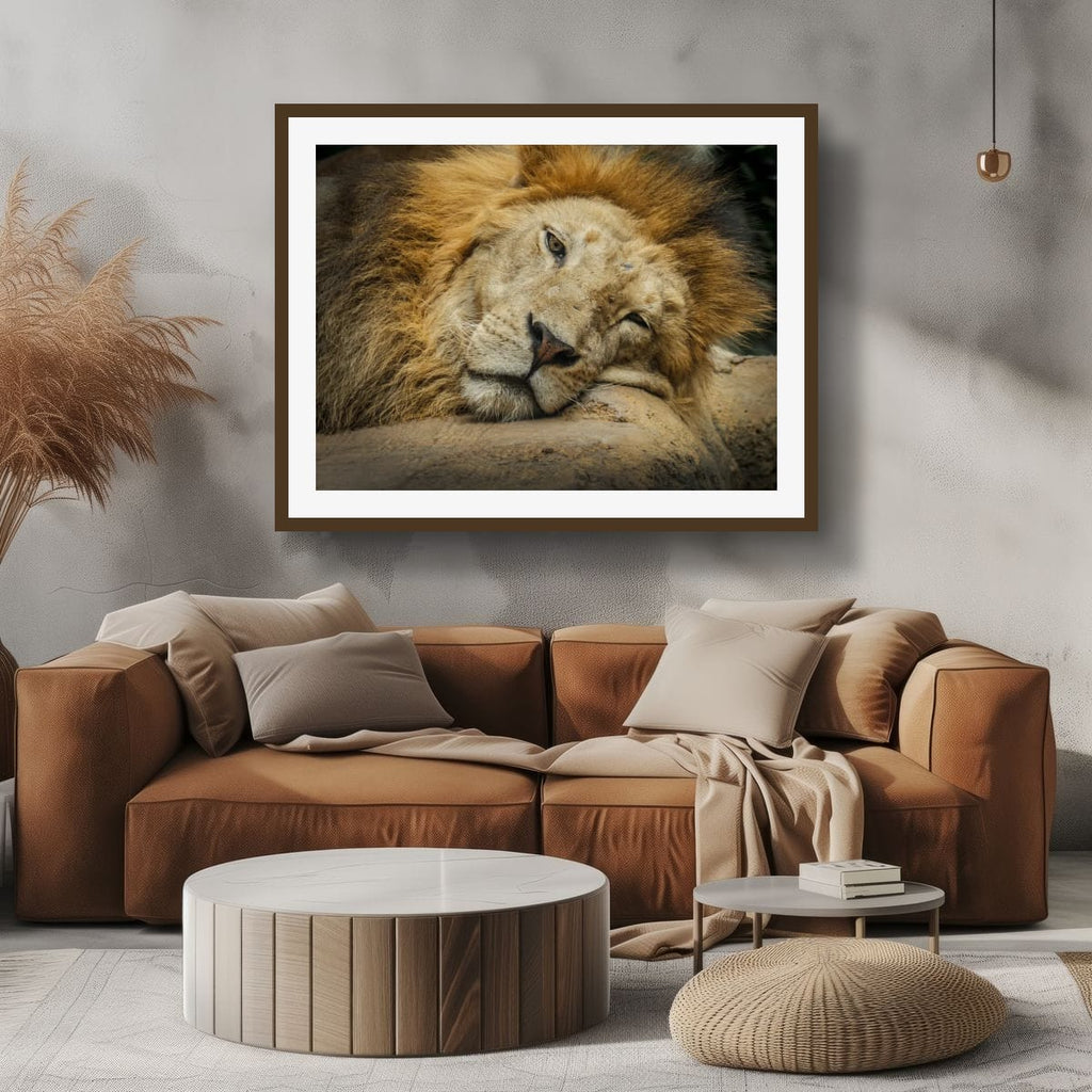 Bali, Indonesia – Lion Wildlife Wall Art