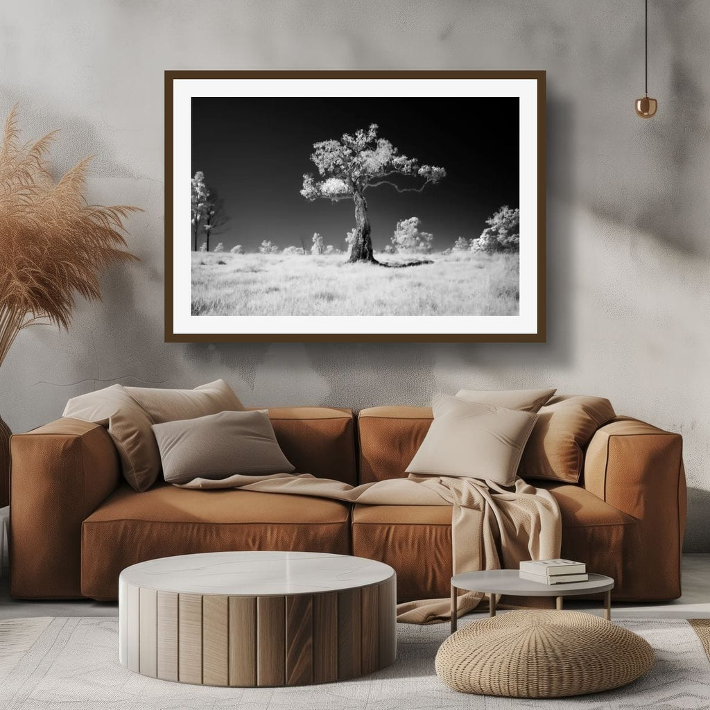 Moorina, Queensland – Infrared Monochrome Tree Wall Art
